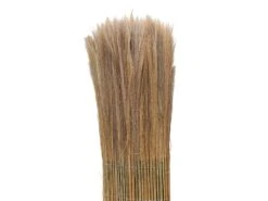 Merkloos Videx Californie 100 X 300 Cm Varen Balkonscherm