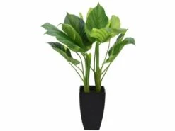 Merkloos Philodendron In Pot 65 Cm Kunstplant - 3 Varianten 7 Merkloos Philodendron In Pot 65 Cm Kunstplant - 3 Varianten -Merkloos philodendron in pot 65cm kunstplant 3 varianten afb4 ecommerce