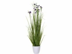 Merkloos Siergras Met Bloemen In Pot 95 Cm Kunstplant - 3 Kleuren 7 Merkloos Siergras Met Bloemen In Pot 95 Cm Kunstplant - 3 Kleuren -Merkloos siergras met bloemen in pot 95cm kunstplant 3 kleuren afb4 ecommerce