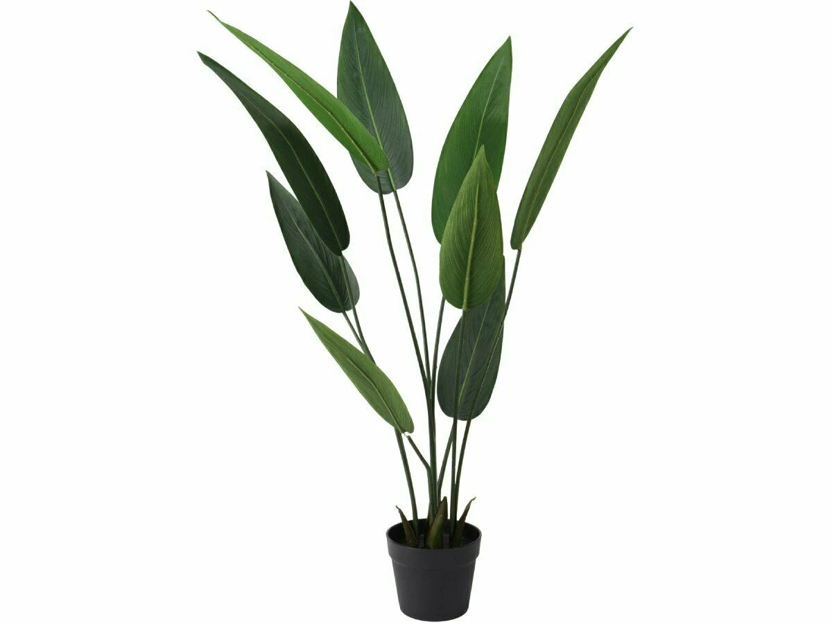 Merkloos Strelitzia In Pot 110 Cm Kunstplant 1 Merkloos Strelitzia In Pot 110 Cm Kunstplant
